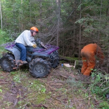 skidder operator trainee