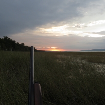 sun rise
