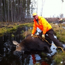 Ray cow2013